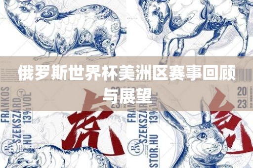 俄罗斯世界杯美洲区赛事回顾与展望