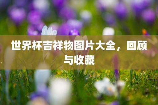 世界杯吉祥物图片大全，回顾与收藏