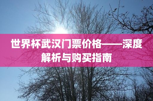 世界杯武汉门票价格——深度解析与购买指南广西贺州市华昌新材料有限公司