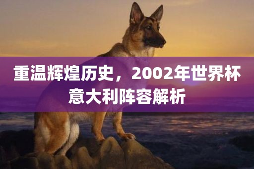 重温辉煌历史，2002年世界杯意大利阵容解析