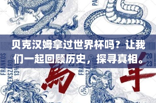 贝克汉姆拿过世界杯吗？让我们一起回顾历史，探寻真相。广西贺州市华昌新材料有限公司