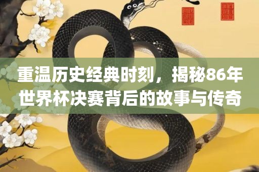 重温历史经典时刻，揭秘86年世界杯决赛背后的故事与传奇广西贺州市华昌新材料有限公司