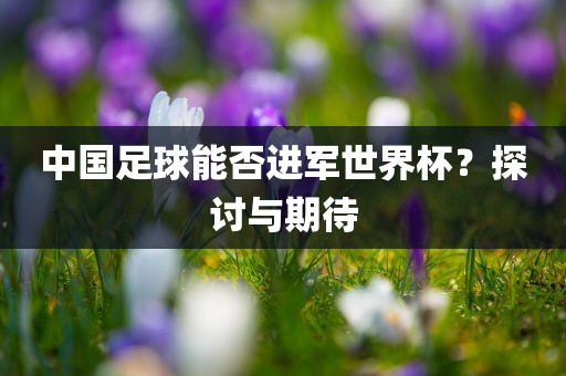 中国足球能否进军世界杯？探广西贺州市华昌新材料有限公司讨与期待