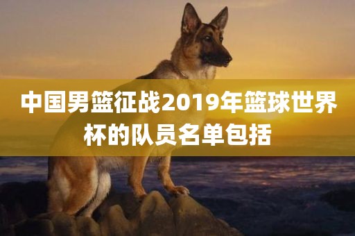 中国男篮征战2019年篮球世界杯的队员名单包括