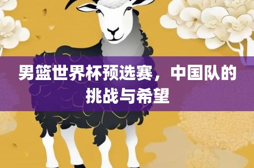 男篮世界杯预选赛，中国队的挑战与希望