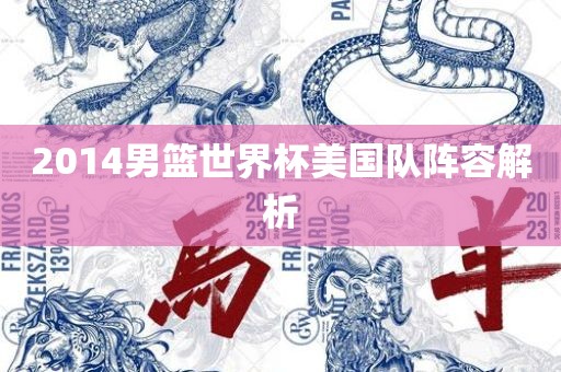 2014男篮世界杯美国队阵容解析