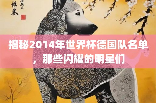 揭秘2014年世界杯德国队名单，那些闪耀的明星们