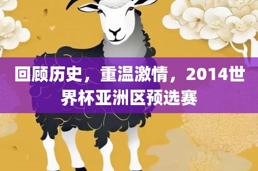 回顾历史，重温激情，2014世界杯亚洲区预选赛