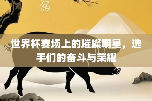 世界杯赛场上的璀璨明星，选手们的奋斗与荣耀广西贺州市华昌新材料有限公司