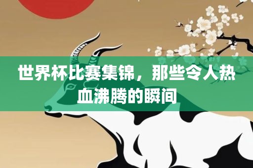 世界杯比赛集锦，那些令人热血沸腾的瞬间