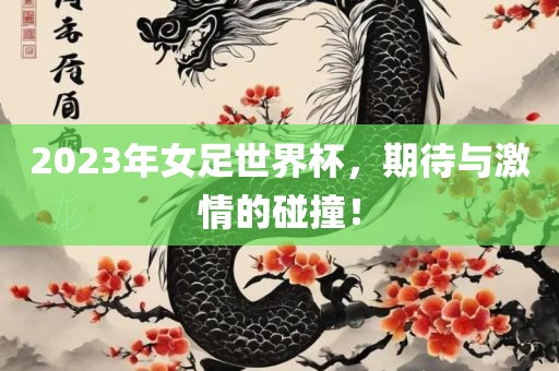 2023年女足世界杯，期待与激情的碰撞！