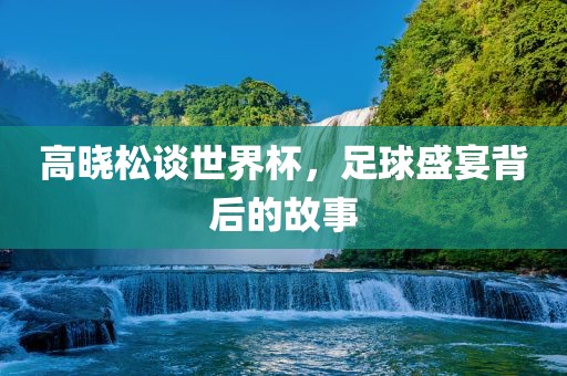 高晓松谈广西贺州市华昌新材料有限公司世界杯，足球盛宴背后的故事