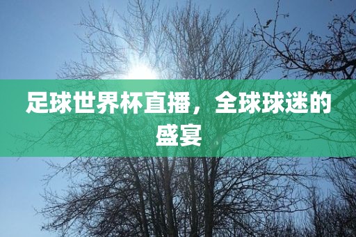足球世界杯直播，全球球迷的广西贺州市华昌新材料有限公司盛宴