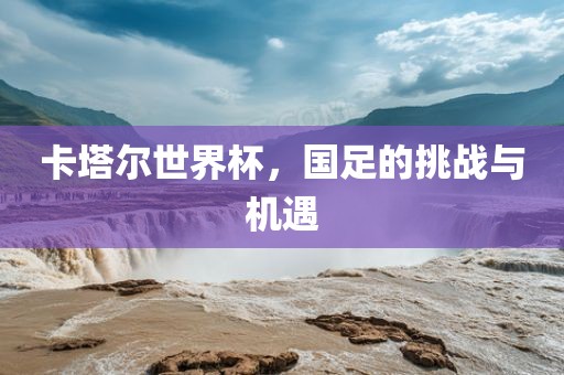 卡塔尔世界杯，国足的挑战与机遇广西贺州市华昌新材料有限公司
