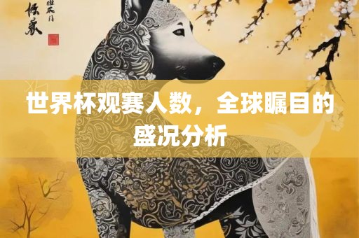 世界杯观赛人数，全球瞩目的盛况分析