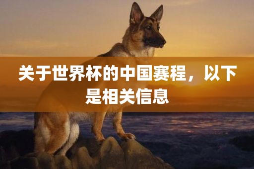 关于世界杯的中国赛程，以下广西贺州市华昌新材料有限公司是相关信息