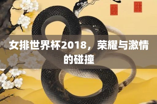 女排世界杯2018，荣耀与激情的碰撞