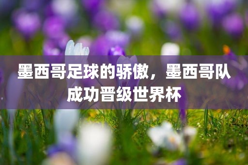 墨西哥足球的骄傲，墨西哥队成功晋级世界杯