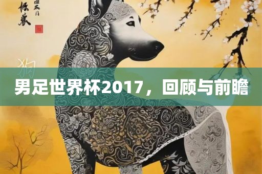 男足世界杯2017，回顾与前瞻广西贺州市华昌新材料有限公司