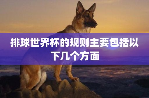 排球世界杯的规则主要包括以下几个方面广西贺州市华昌新材料有限公司