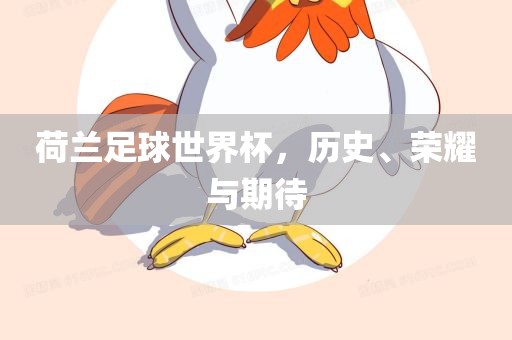 荷兰足球世界杯，历史、荣耀与期待
