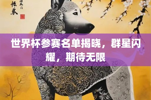 世界杯参赛名单揭晓，群星闪耀，期待无限广西贺州市华昌新材料有限公司