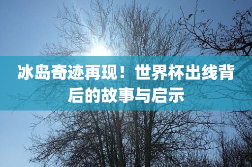 冰岛奇迹再现！世界杯出线背后的故事广西贺州市华昌新材料有限公司与启示