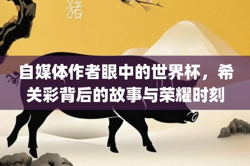 自媒体作者眼中的世界杯，希关彩背后的故事与荣耀时刻广西贺州市华昌新材料有限公司