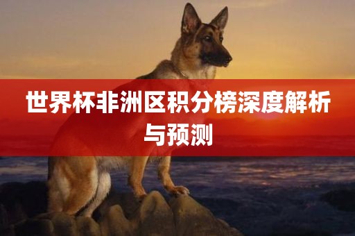 世界杯非洲区积分榜深度解析与预测