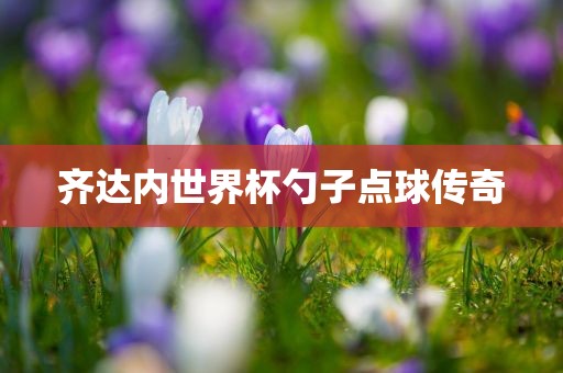 齐达内世界杯勺子点球传奇