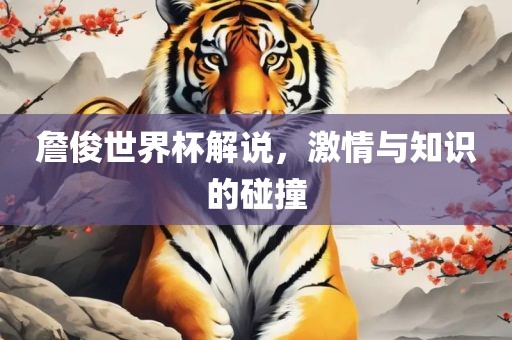 詹俊世界杯解说，激情与知识的碰撞
