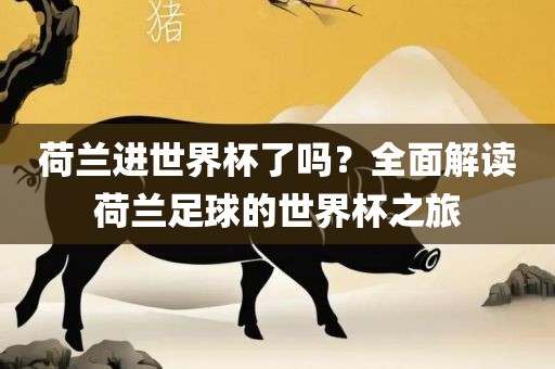 荷兰进世界杯了吗？全面解读荷兰足球的世界杯之旅广西贺州市华昌新材料有限公司