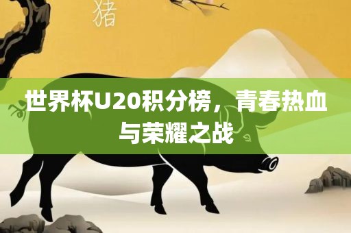 世界杯U20积分榜，青春热血与荣耀之战