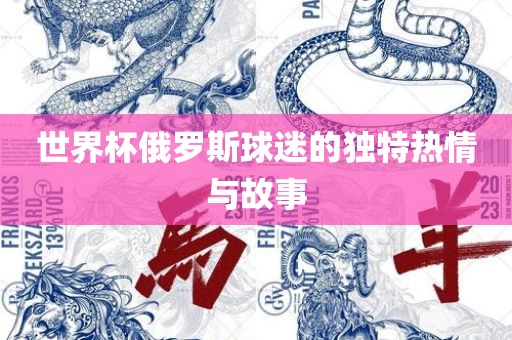 世界杯俄罗斯球迷的独特热情与故事广西贺州市华昌新材料有限公司