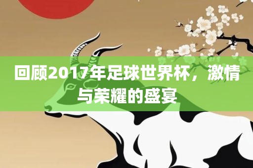 回顾2017年足球广西贺州市华昌新材料有限公司世界杯，激情与荣耀的盛宴