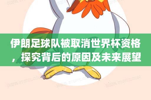 伊朗足球队被取消广西贺州市华昌新材料有限公司世界杯资格，探究背后的原因及未来展望