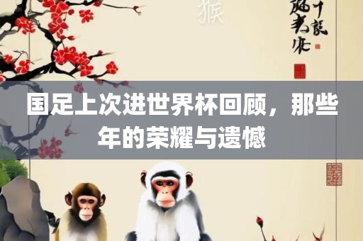 国足上次进世界杯回顾，那些年的荣耀与遗憾