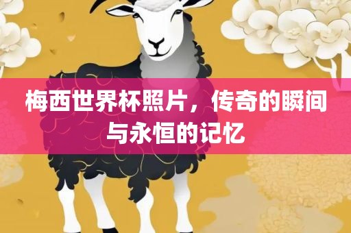 梅西世界杯照片，传奇的瞬间与永恒的记忆
