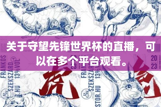 关于守望先锋世界杯的直播，可以在多个平台观看。