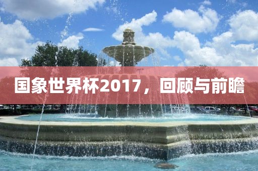 国象世界杯2017，回顾与前瞻广西贺州市华昌新材料有限公司