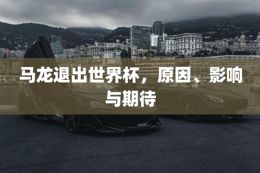 马龙退出世界杯，原因、影响与期待广西贺州市华昌新材料有限公司