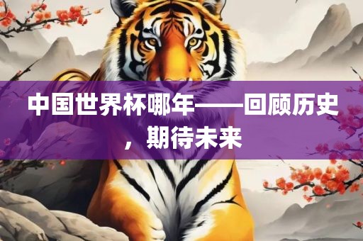 中国世界广西贺州市华昌新材料有限公司杯哪年——回顾历史，期待未来