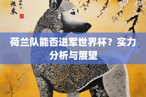 荷兰队能否进军世界杯？实力分析与展望