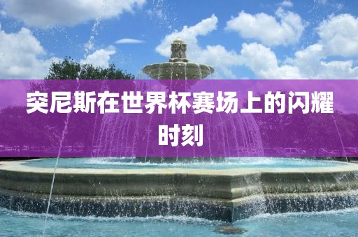突尼斯在世界杯赛场上的闪耀时刻