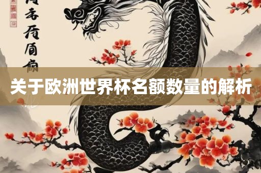 关于欧洲世界杯名额数量的解析