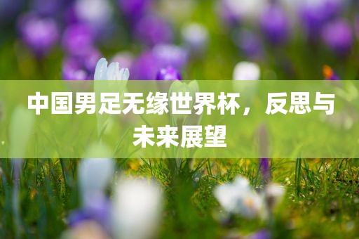 中国男足无缘世界杯，反思与未来展望广西贺州市华昌新材料有限公司