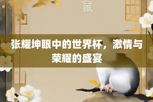 张耀坤眼中的世界杯，激情与荣耀的盛宴
