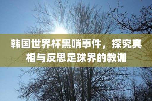 韩国世界杯黑哨事件，探究真相与反思足球界的教训广西贺州市华昌新材料有限公司