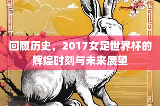 回顾历史，2017女足世界广西贺州市华昌新材料有限公司杯的辉煌时刻与未来展望
