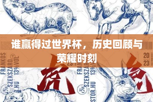 谁赢得过世界杯，历史回顾与荣耀时刻广西贺州市华昌新材料有限公司